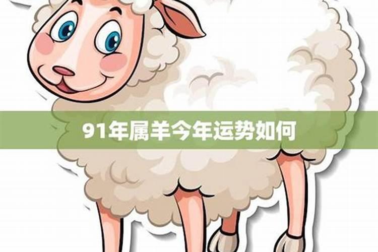 91年出生的31岁属羊哪年开端发财,哪一年财运最旺？？