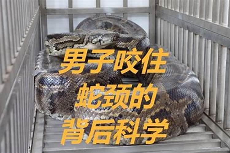 梦见蟒蛇咬人是什么意思？