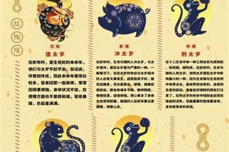 属蛇的一九七七年的今年的运势