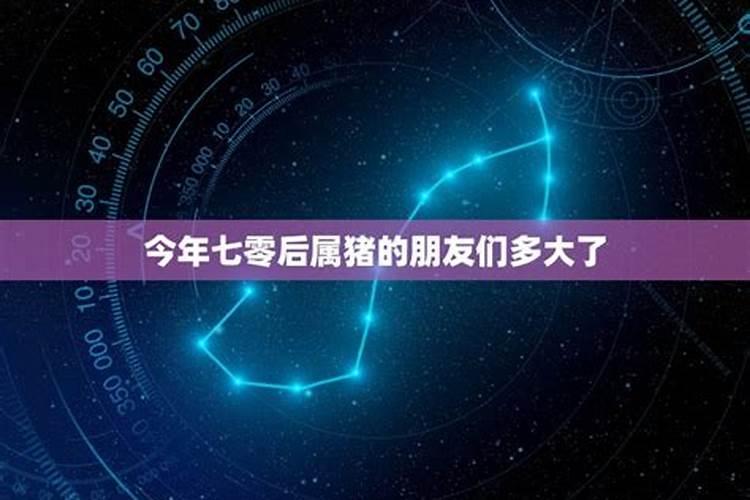 70年的狗运势,70年属狗2021年运势及运程每月运程