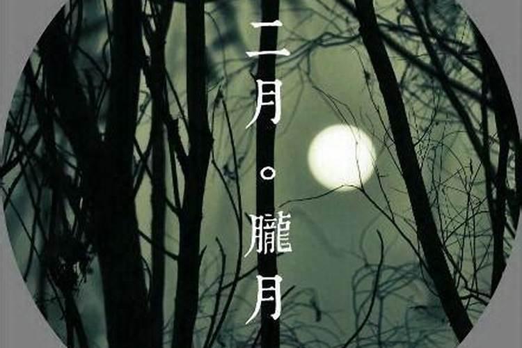还寿生债怎么查怎么计算
