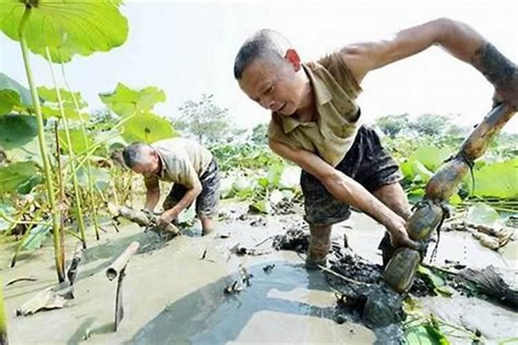 地下挖出来的“太岁”究竟是什么东西？为什么说“太岁”违背了自然规律...