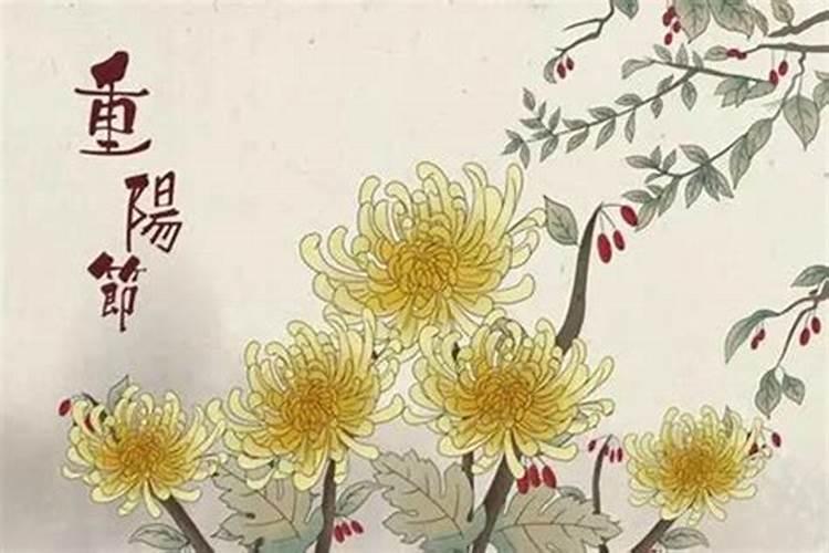 重阳节有什么风俗 传统活动