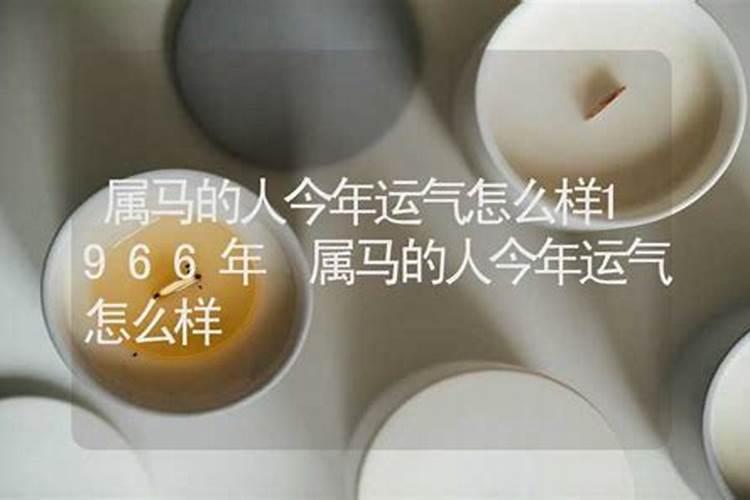 1966年属马2025年运势及运程