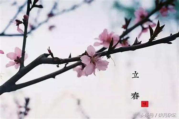 立春立夏立秋立冬分别在几月