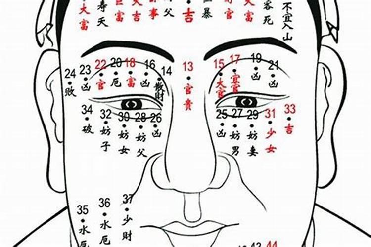 命宫丁卯什么意思？
