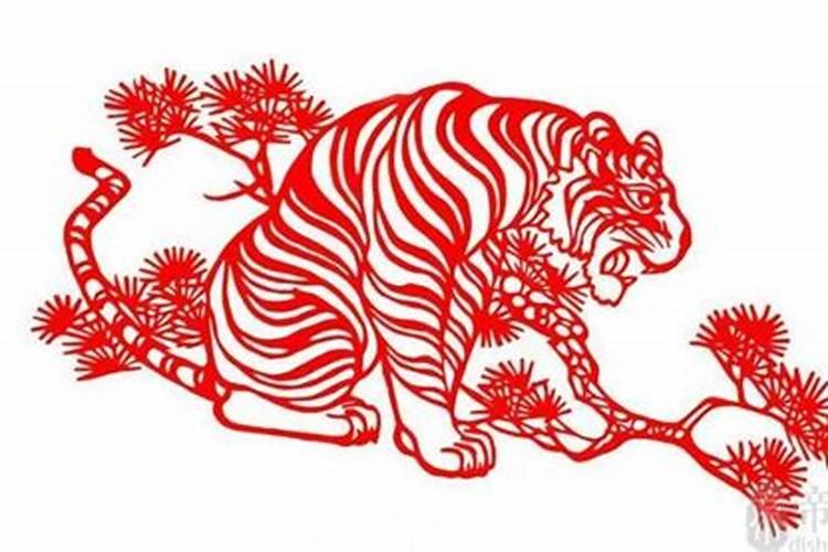 属虎男最佳婚配属相