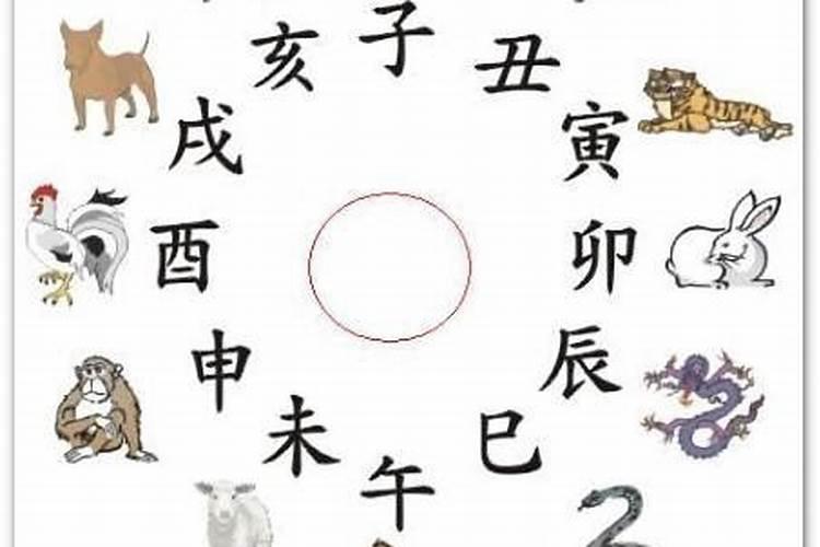 酉鸡的含义是什么意思？