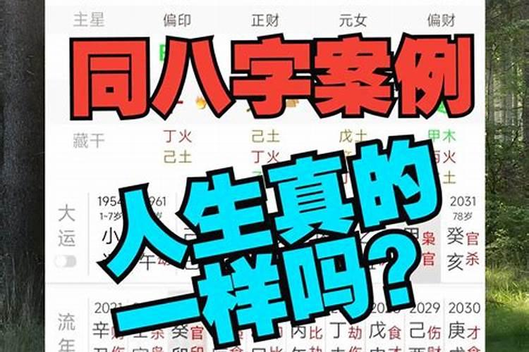 八字相似的人适合婚配吗？