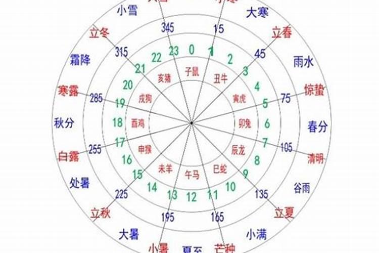 十天干是指什么