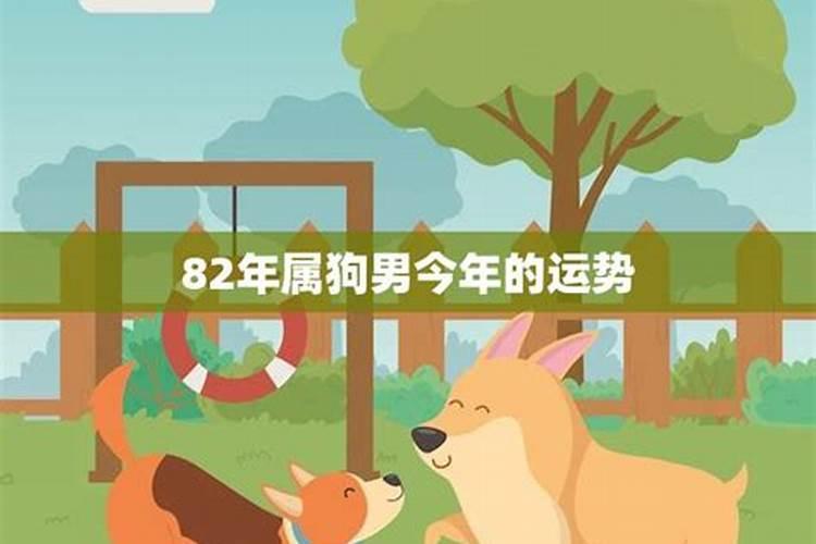82年属狗人2025运势运程
