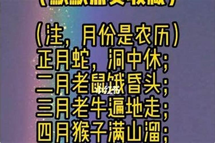 十二属相几月犯月大全