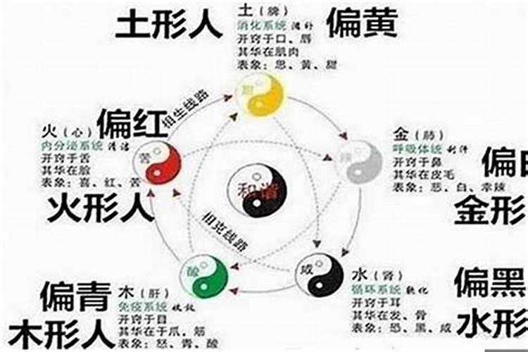 冬至是农历几月几日几点