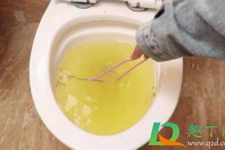命硬是什么意思