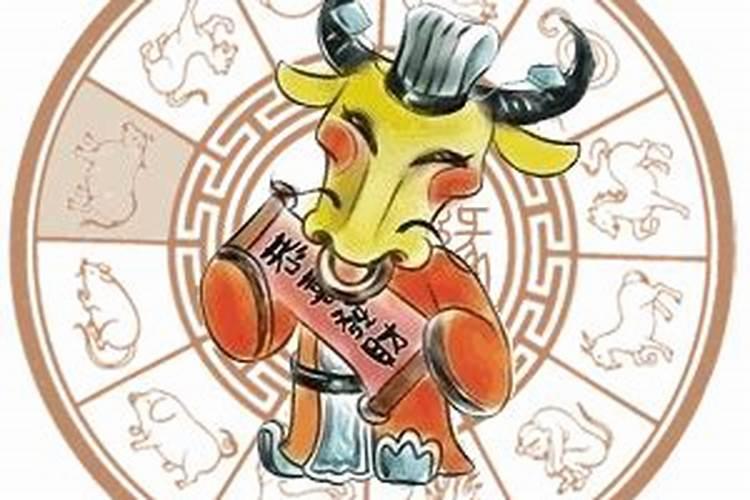 属兔在蛇年运势2025年运势