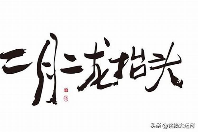 2025属猪人的全年运势如何1983