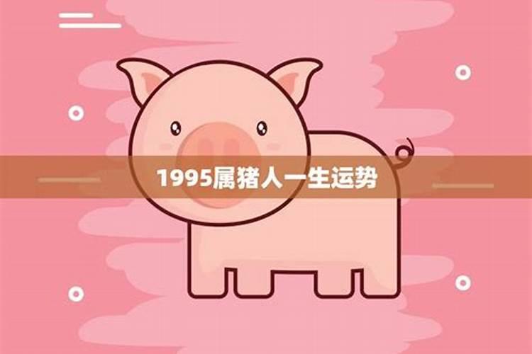 1995年属猪男一生命运 婚姻状况财运运势？
