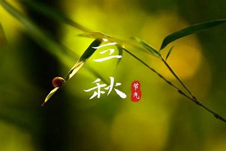 清明节节日时间,风俗是什么