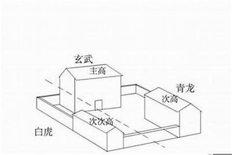 自从养了猫运气就一直不好？