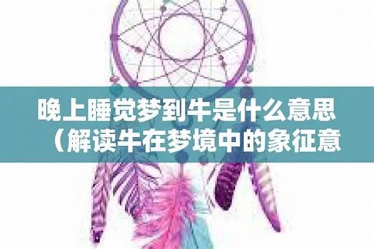 梦见牛是什么意思+周公解梦？