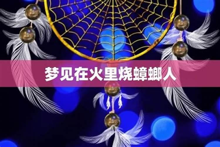 1990年属马的更佳配偶,90年的马适合什么生肖的配偶
