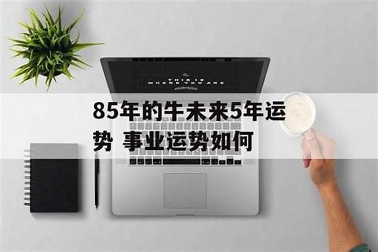牛年出生的人几点命最好,属牛人最佳出生时辰？