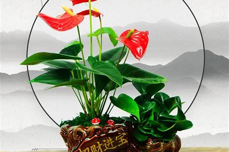 属虎的和属牛的婚配好不好？