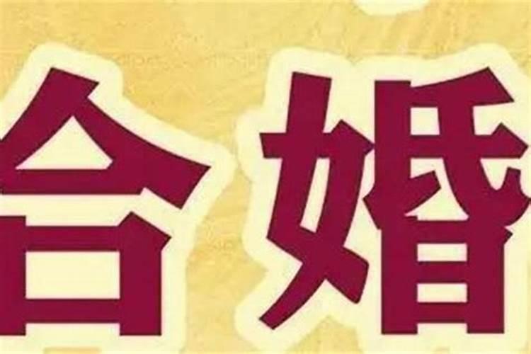 姓张和姓张能不能结婚 也要考虑其他姓氏