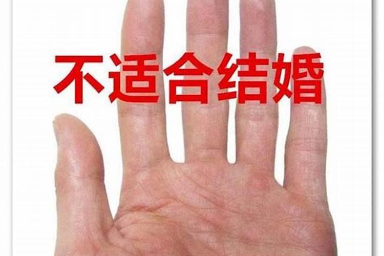 猪年和蛇年出生的人在一起会幸福吗？