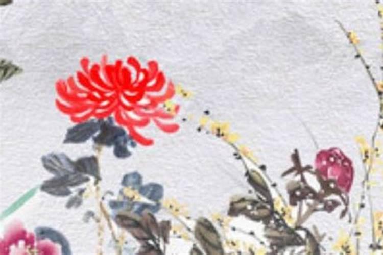 三合木局对哪些人比较好 何为亥卯未三合木局？