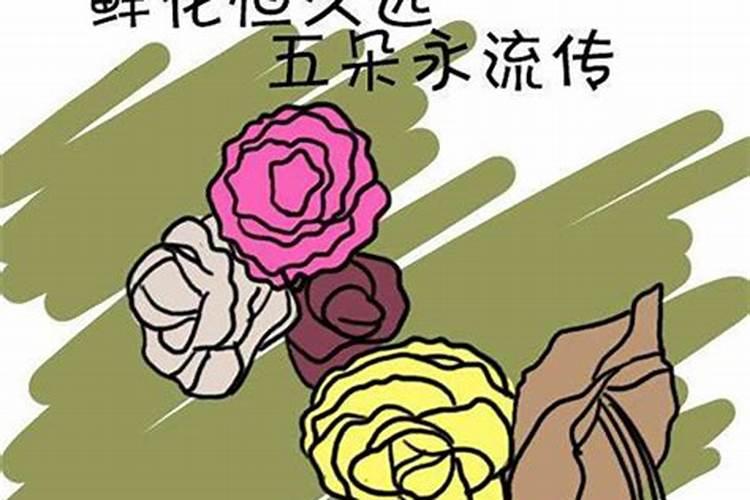 有关“白虎”