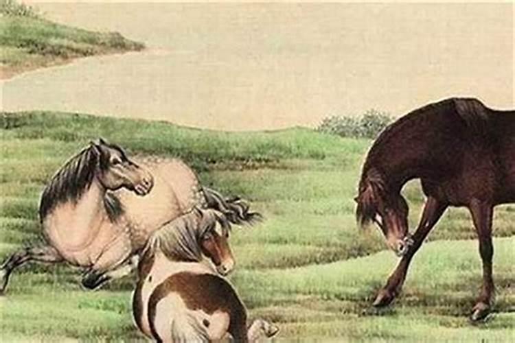 78年属马后半生婚姻属马人终身婚姻运？