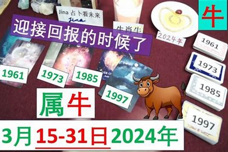 属龙人的本命年