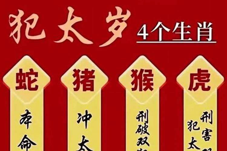 2025年蛇年犯太岁的四个属相怎么化解