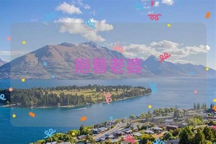 78年马2026全年运程