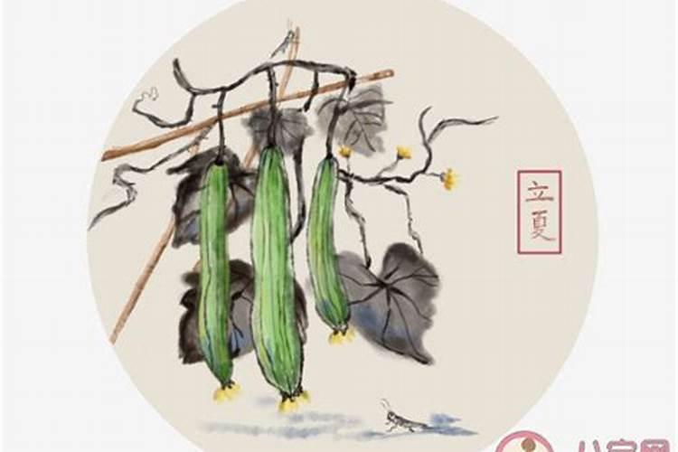 大衣哥儿媳6天粉丝破百万。她的直播都有哪些吸引人的地方？
