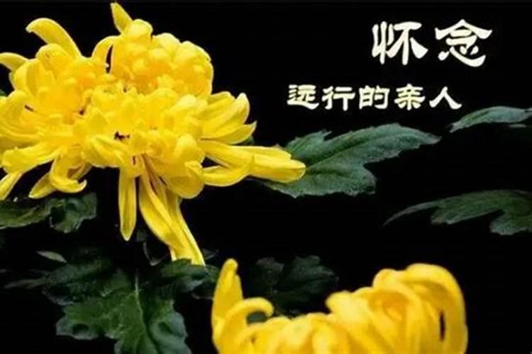 清明节网上扫墓寄语大全