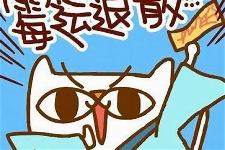 1978属马人最旺的年龄2024