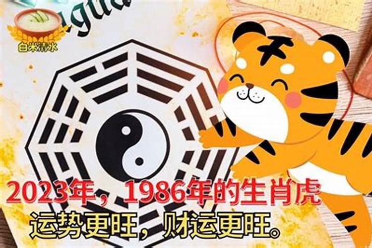 1987属兔人2025全年运势如何 87年属兔2025年运势