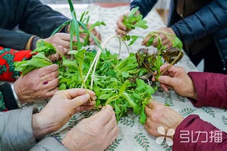 84年2025年属鼠人的全年运势