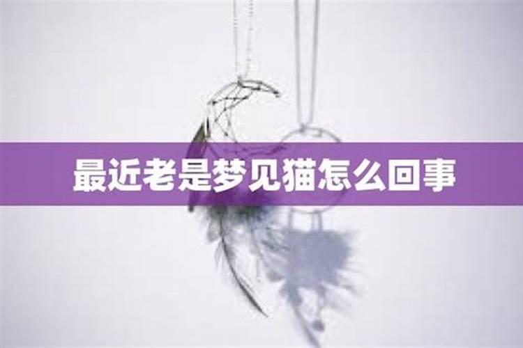 梦见漂亮的大房子是什么意思？