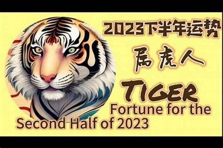 梦见肚子里有胎儿在动