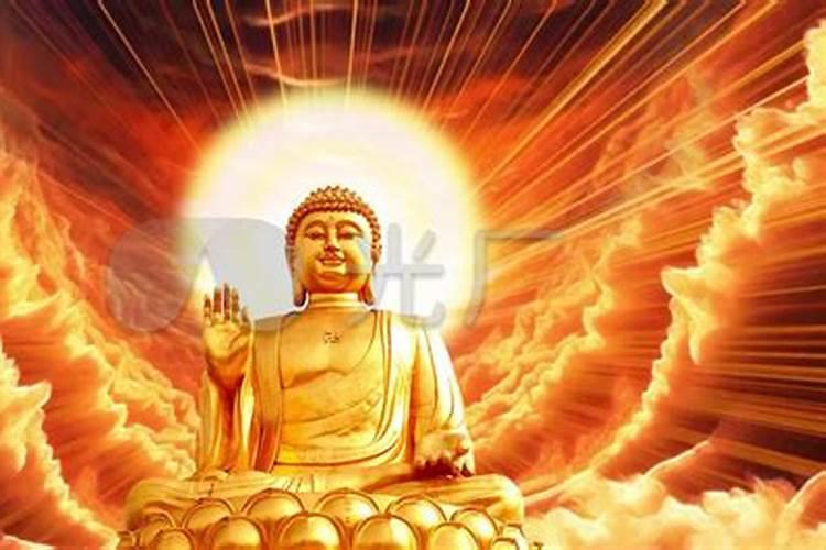 梦见一条大蛇缠绕身体