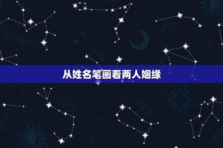 87兔2020年运势如何