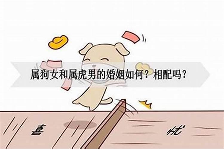 男狗94年和女虎98年婚配吗,女属虎和男属狗,是否相配？