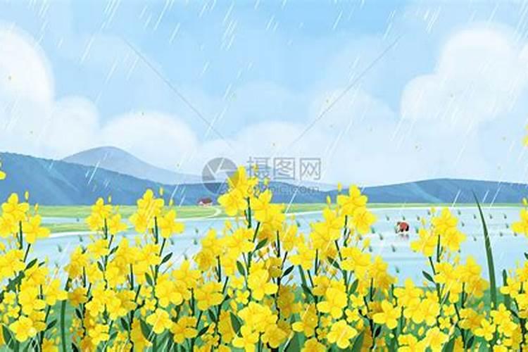 济南油菜花哪里最好看 济南油菜花景点推荐