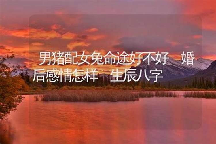 冬至时节应该做什么事情