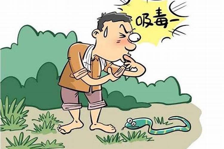 做梦梦到蛇预示着什么