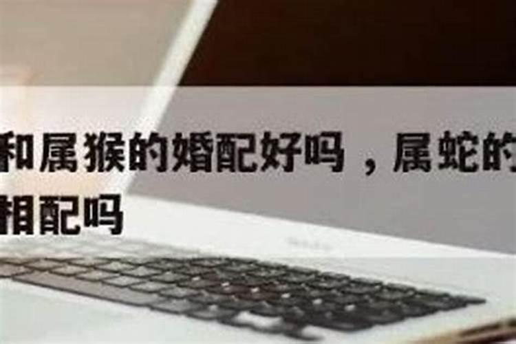 带财的女人有什么特征财库多则可坐拥颇多财富