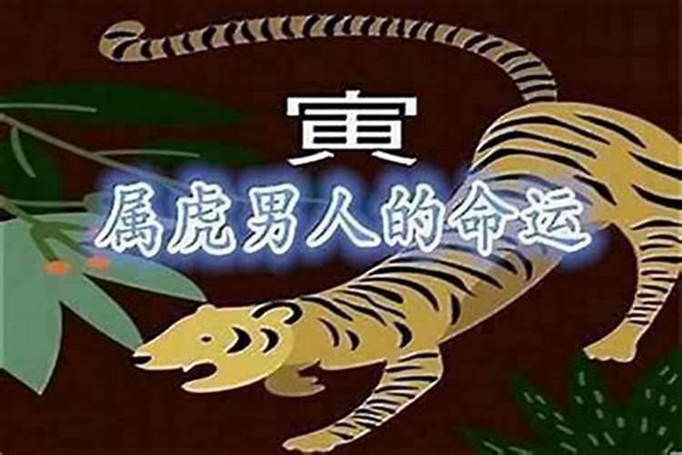 虎年装修房子风水好吗,属虎人在本命年不可装修房子